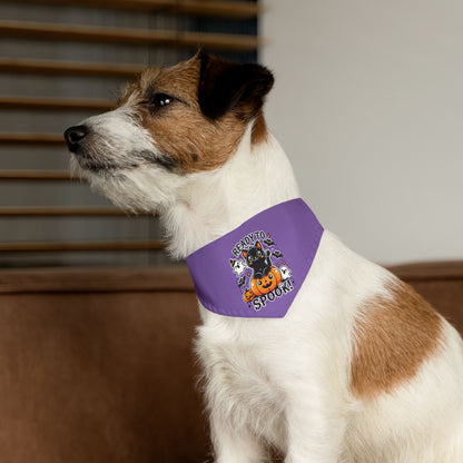 Ready to Spook - Pet Bandana Collar Printify