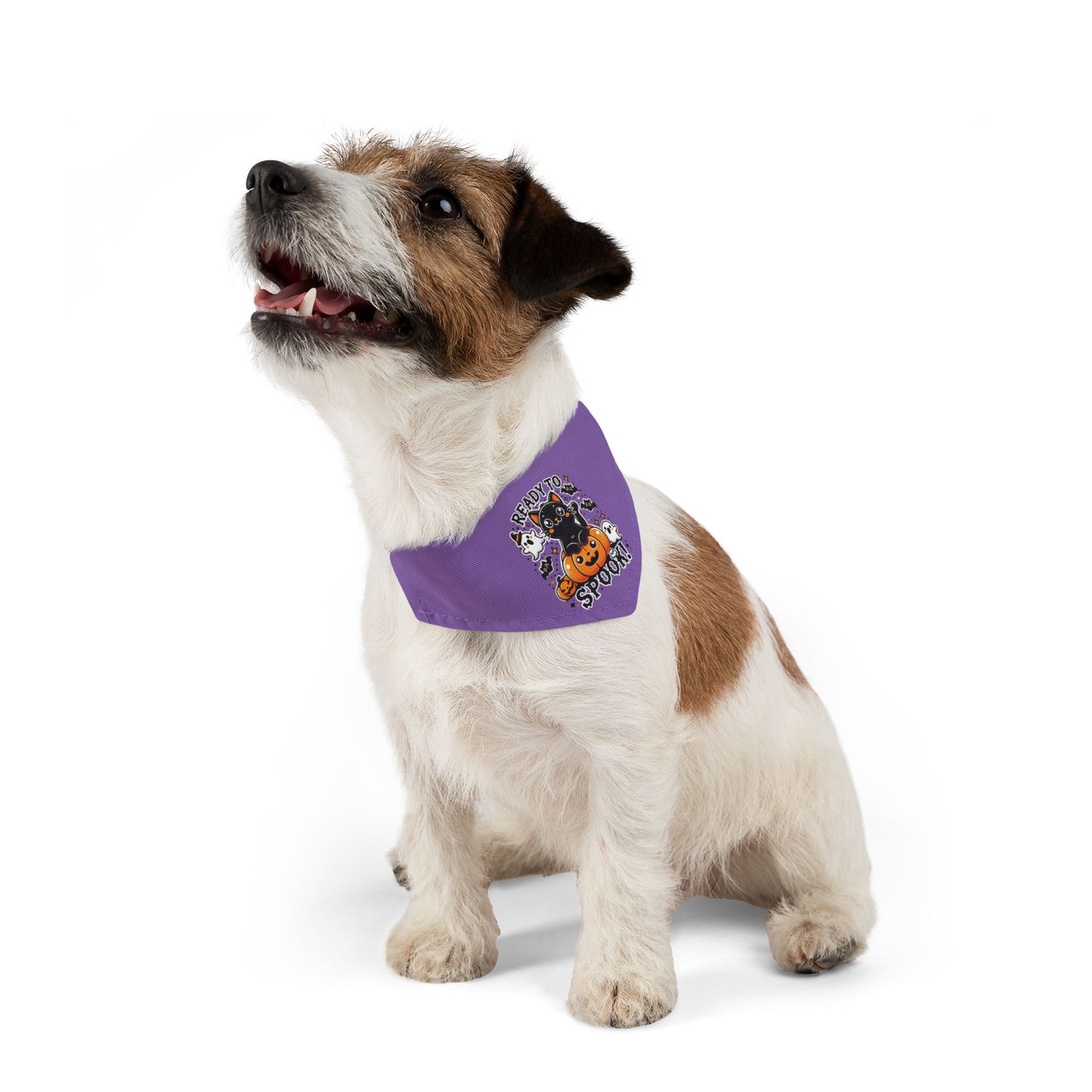 Ready to Spook - Pet Bandana Collar Printify