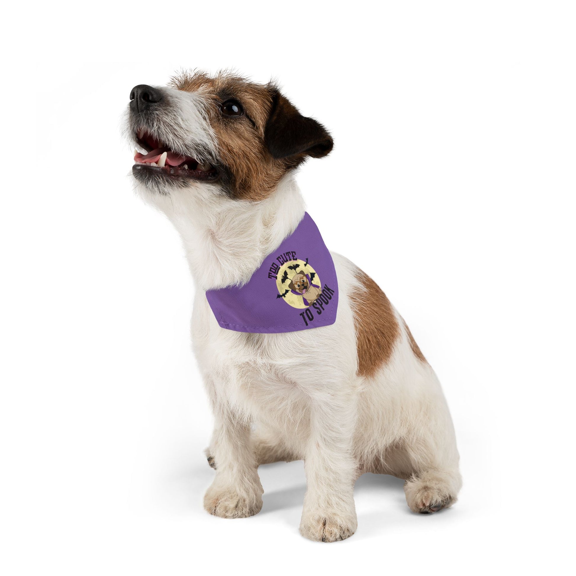 Copy of Too cut to spook - Pet Bandana Collar Printify