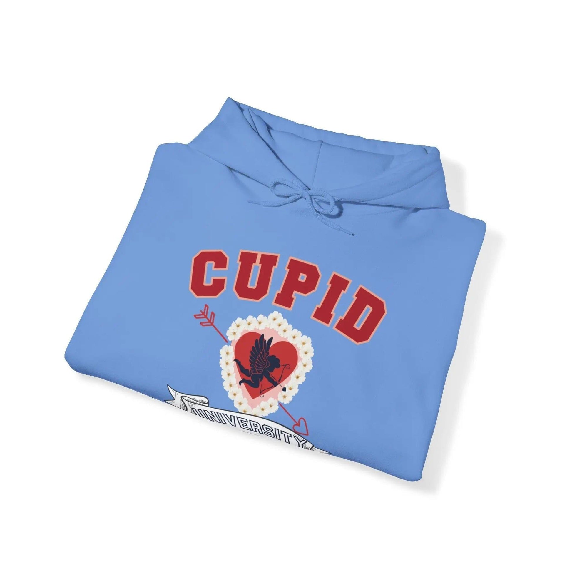 CUPID university 2 Unisex Heavy Blend™ Hooded Sweatshirt - NOVINC