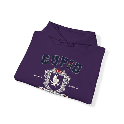 CUPID university Unisex Heavy Blend™ Hooded Sweatshirt - NOVINC